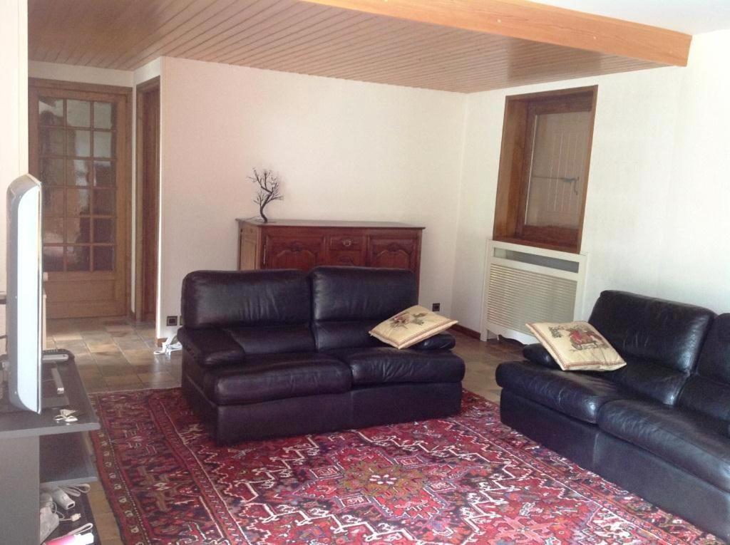 Апартаменти Les Grangettes 2 - Duplex - Wifi Gratuite Араш-ла-Фрасс Екстер'єр фото
